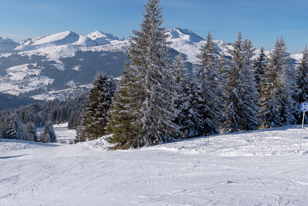 Les Gets - New Cyclamen ski Piste on the Chavannes Side