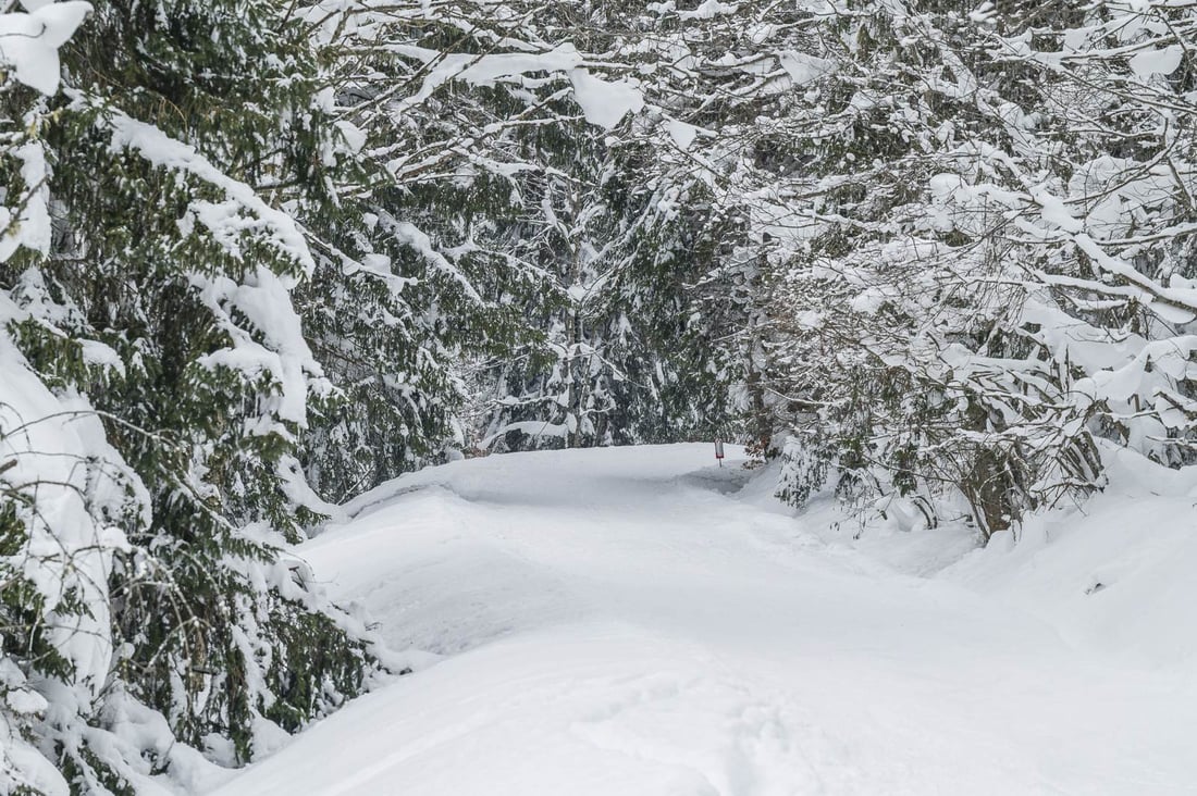 Great Piste Conditions