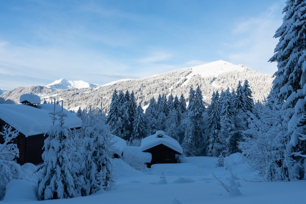 Les Gets - Snow pictures - A lot of snow in February
