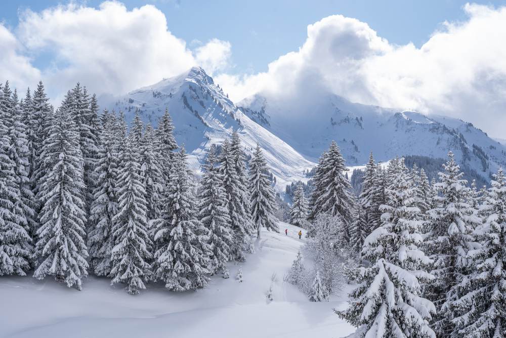 Blue skies, fresh snow, great Piste Conditions - Les Gets