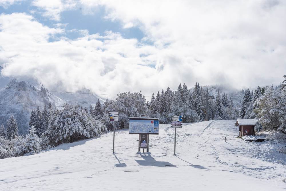 First Snow - 20cm this morning on the Chavannes Side