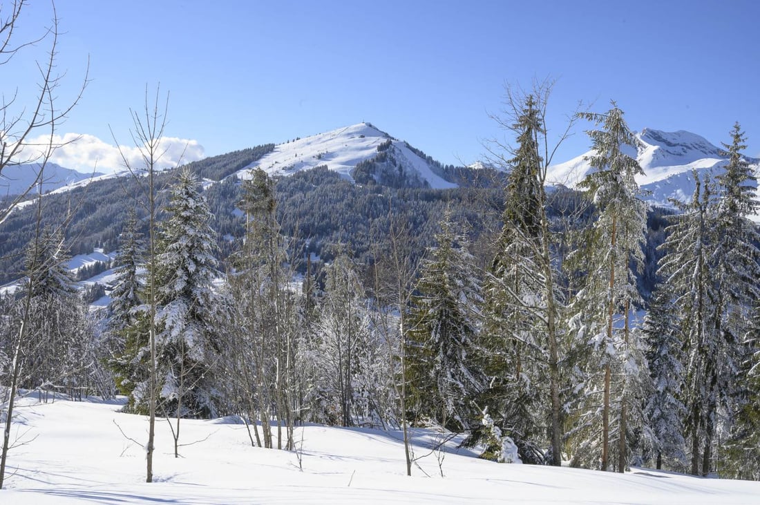Pictures taken yesterday - Red Ski Show pictures and perfect skiing conditions in Les Gets