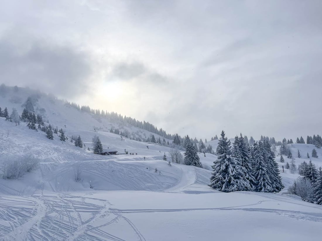 Great Piste Conditions