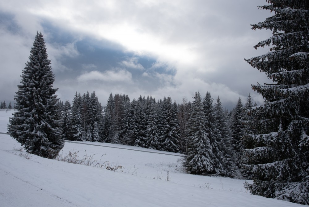 Les Gets - Pictures taken from Les Chavannes midstation
