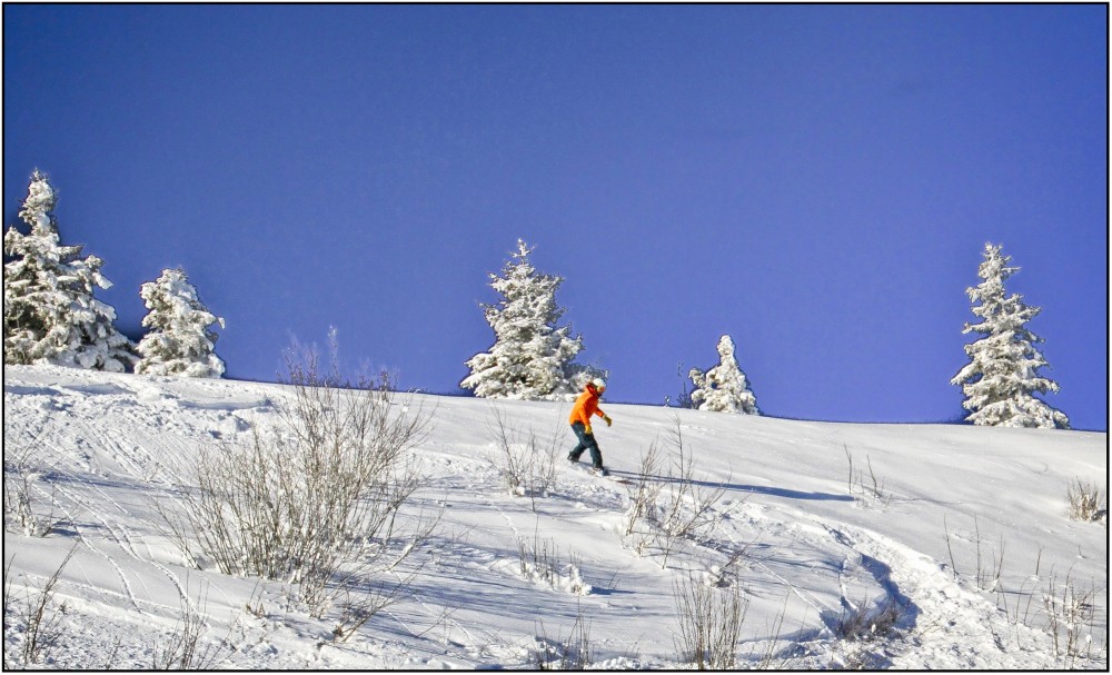 Les Gets - Fresh powder, sunshine and uncrowded pistes