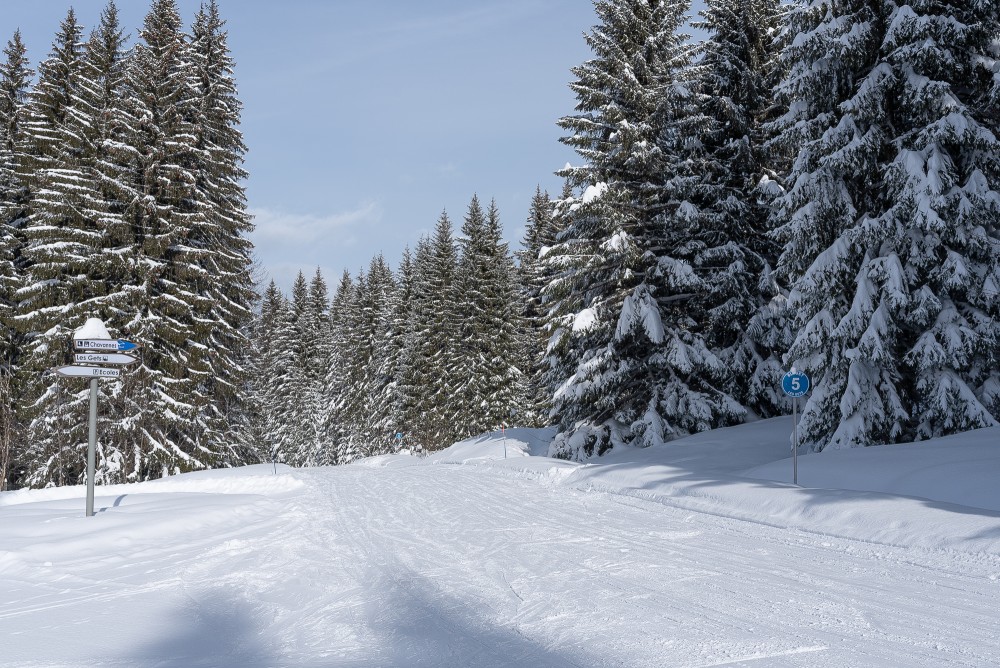 Les Gets - New Cyclamen ski Piste on the Chavannes Side