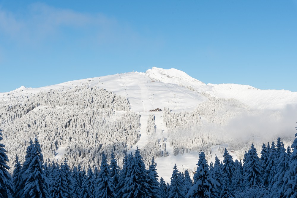 Les Gets - Pictures of Fresh Snow - Ski holidays