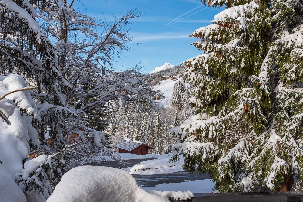Les Gets - Fantastic Snow at end of the Ski Season