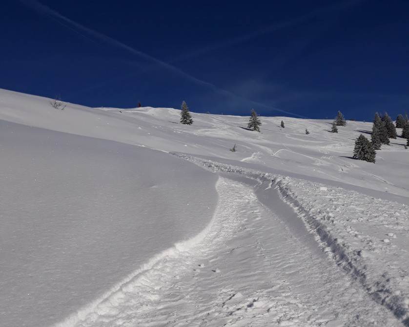 Free ride skiing in Les Gets – the best off piste adventures
