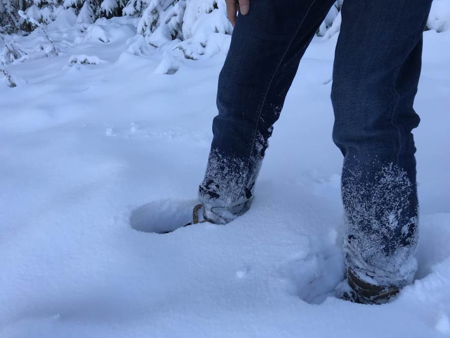 First Snow - 20cm this morning on the Chavannes Side