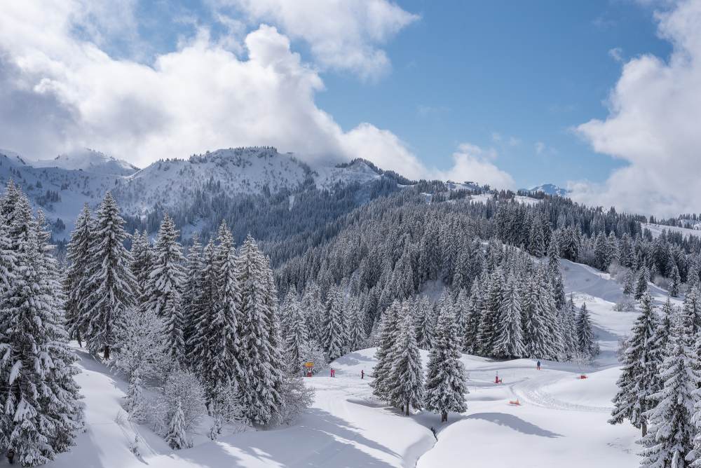 Blue skies, fresh snow, great Piste Conditions - Les Gets