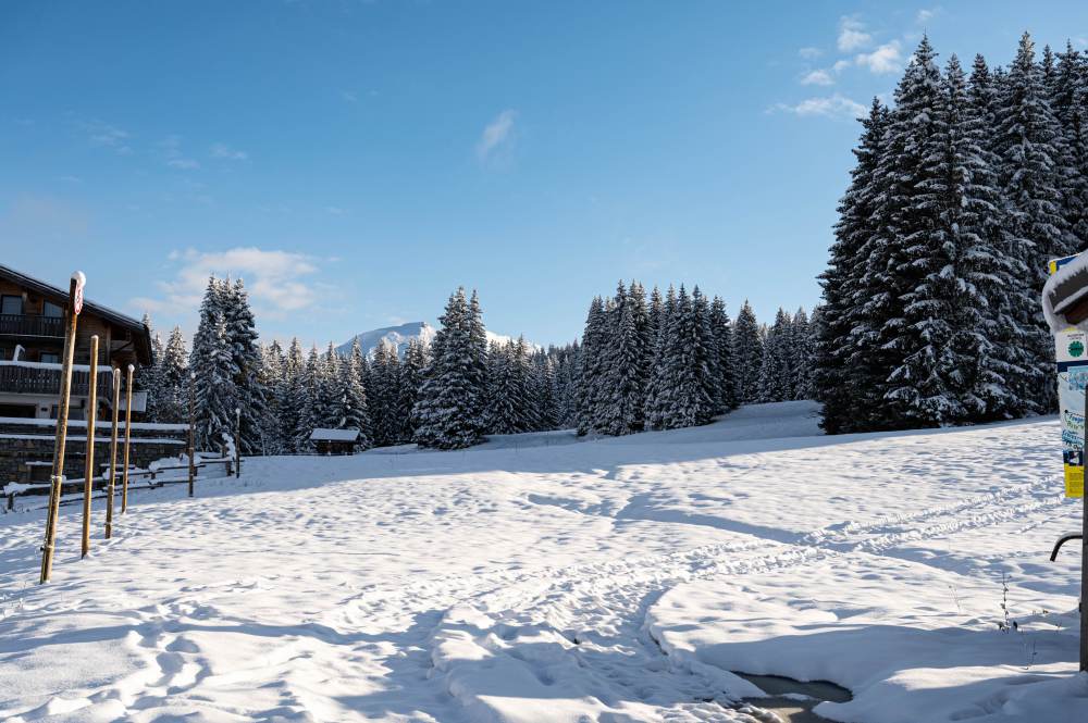 Les Gets - Premières neiges et magnifiques paysages ensoleillés ce matin aux Chavannes