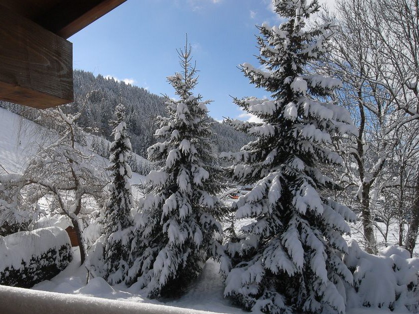 Les Gets winter accommodation guide for ski holidays 19/20