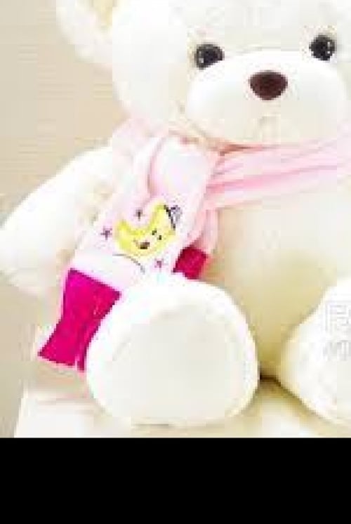 Missing teddy bear found and given back at chalets1066