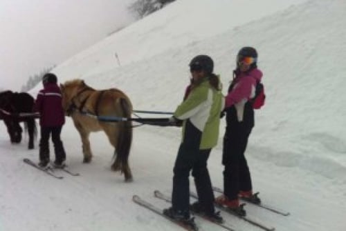 Ski Joering - Les Gets - Review on a different ski activity