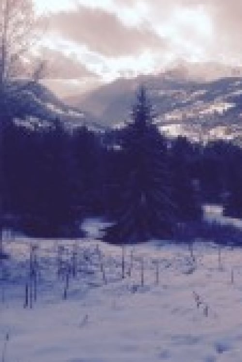 Les Gets - More snow on its way in - Ski conditions