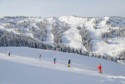 Les Gets - Snow report - Better snow conditions in Les Gets