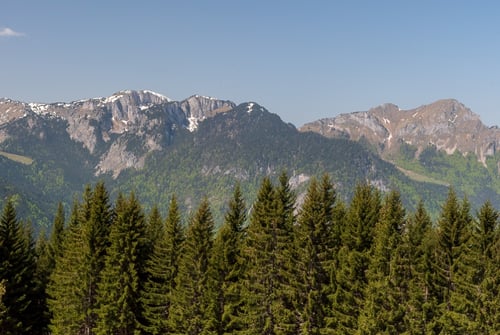 Les Gets - Walk from Col de Corbier to Drozin - Pictures