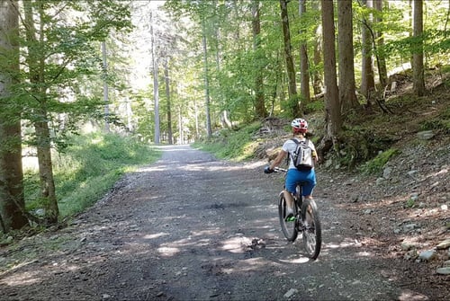 Les Gets - Summer - Ebikes - Exhilaration without the exhaustion