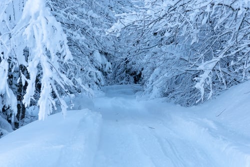 Les Gets - Snow pictures - A lot of snow in February
