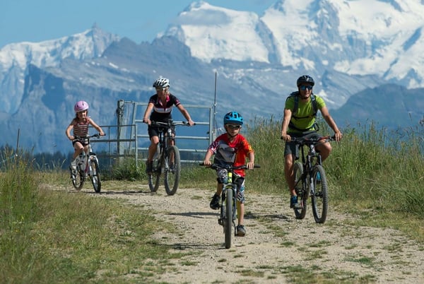 MTB for Families in Les Gets - Information - E bikes
