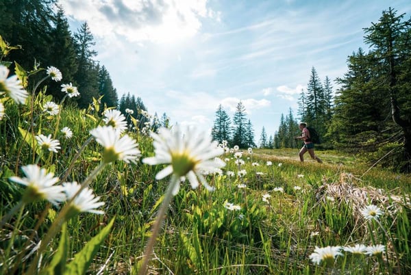Summer Multi Pass Activities for € 2.50 a day in the Portes du Soleil