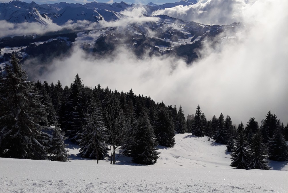 Les Gets - Freeride on Mont Chery - Where to go