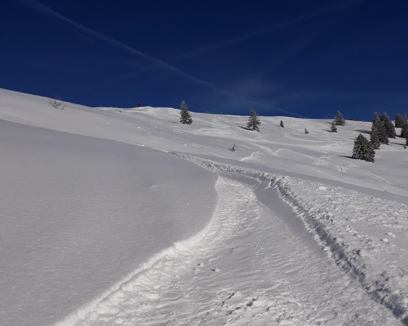 Les Gets - Freeride on Mont Chery - Where to go