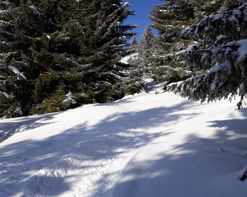Les Gets - Freeride on Mont Chery - Where to go