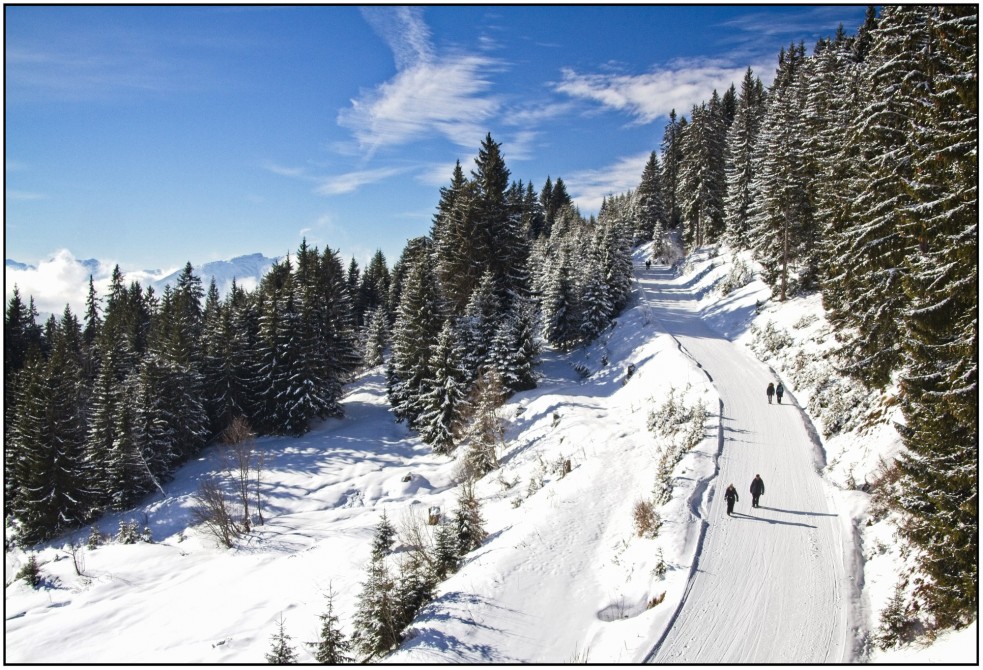 Les Gets - Mont Chery Ski Area - A hidden gem in Les Gets