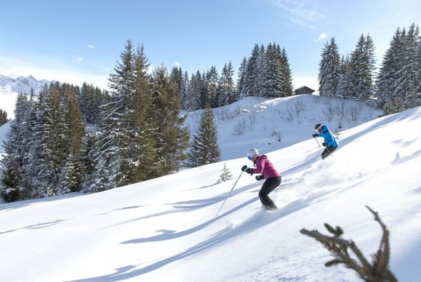 Ski de fond/ski de randonnée - Autres Sports d'hiver - Les Gets