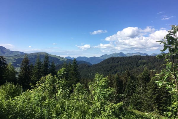 Summer hike - Jacquicourt's Chapel - Les Gets