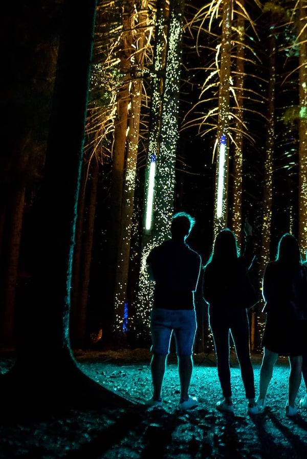 Les Gets - Alta Lumina – Balade nocturne interactive