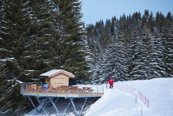 Snowshoe walk - Nauchets Belvedere - Les Gets