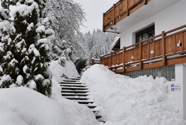 Pourquoi choisir Chalets1066 - Vacances au ski et séjours été