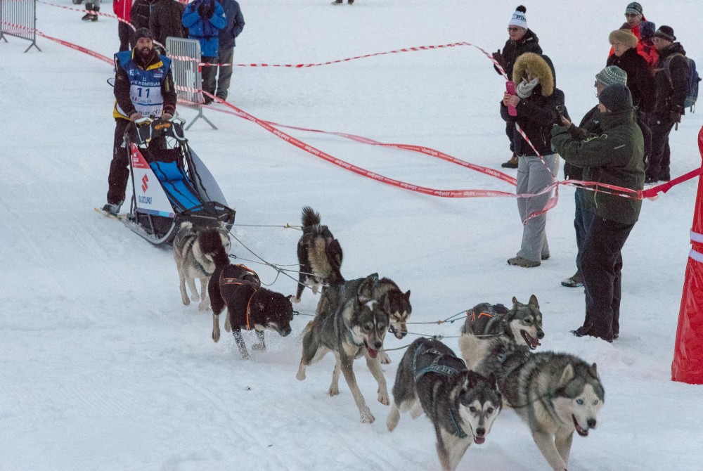 Les Gets - The Grande Odyssée Savoie Mont Blanc - Musher