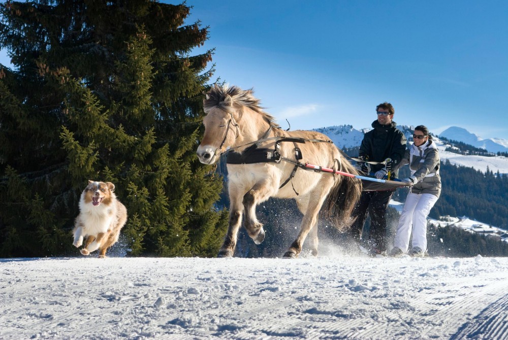 Ski Joring