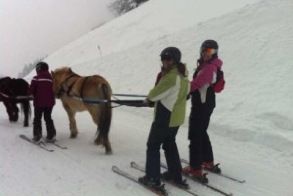 Ski Joering in Les Gets!