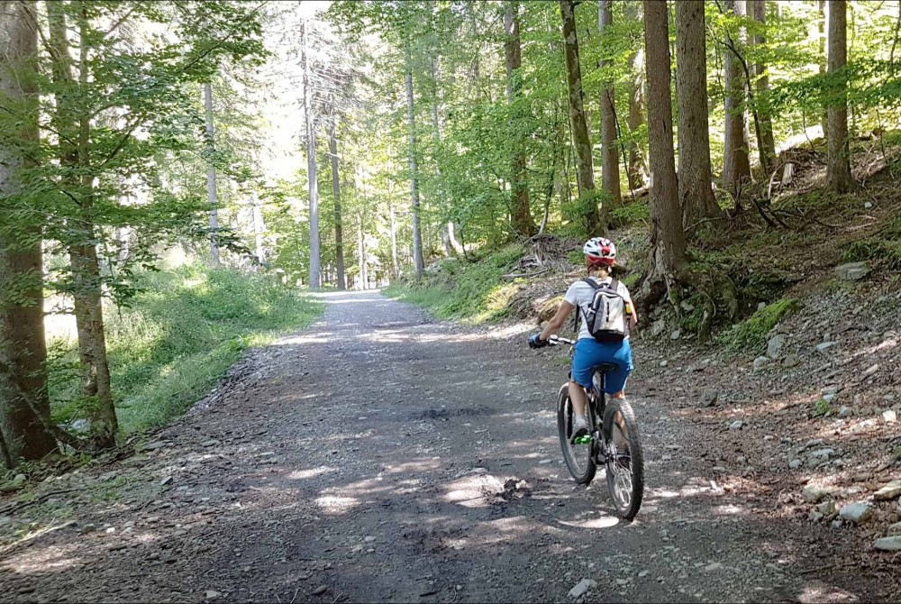 E-bikes in Les Gets - exhilaration without the exhaustion!