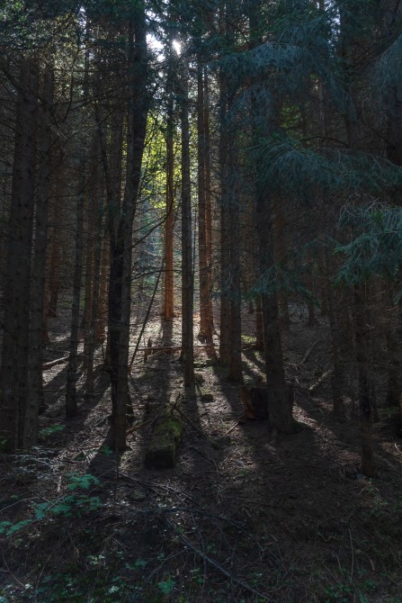 Walk from Col de Corbier to Drozin