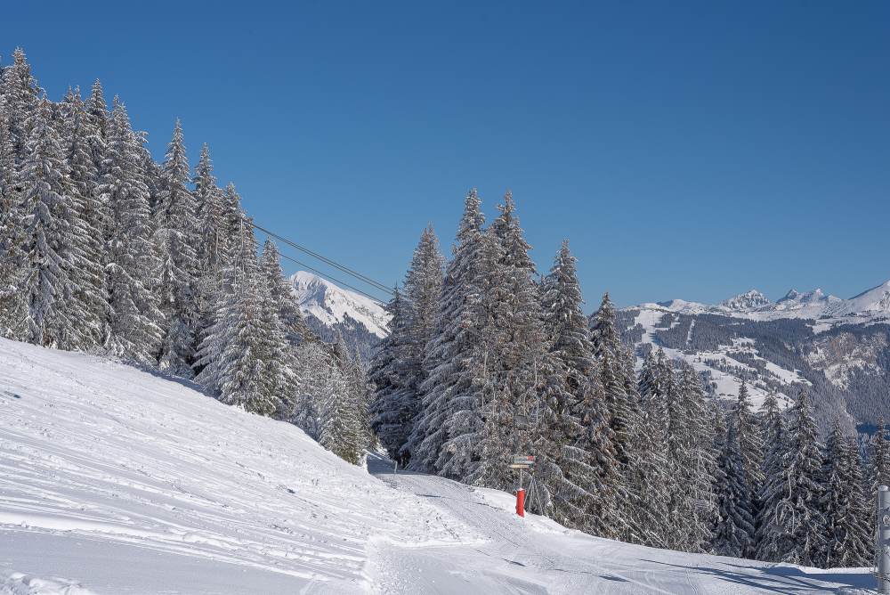 Ski touring, beautiful weather on Mont-Chéry - Les Gets