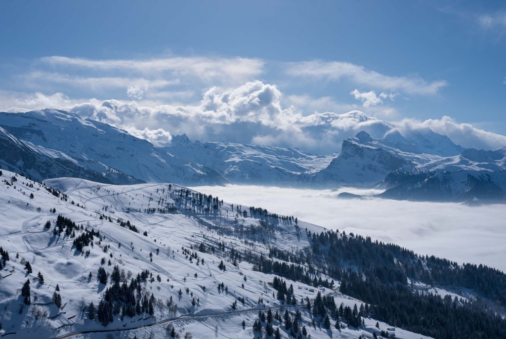 Fantastic Piste Conditions