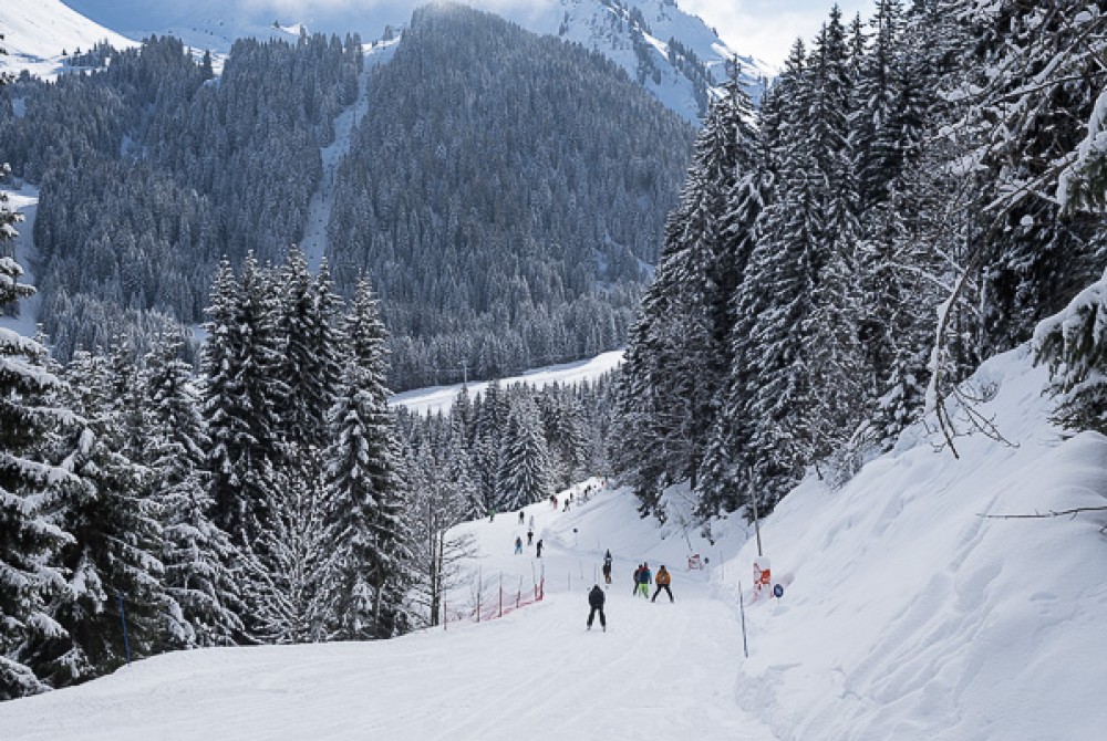 Snow Conditions 2nd February