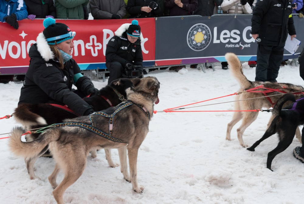 Grand Odyssée Pictures - Jan 15th