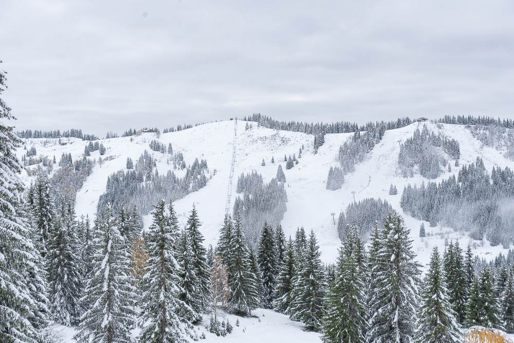 Les Gets November 2019 - Snow Pictures Today - Temperatures below Zero