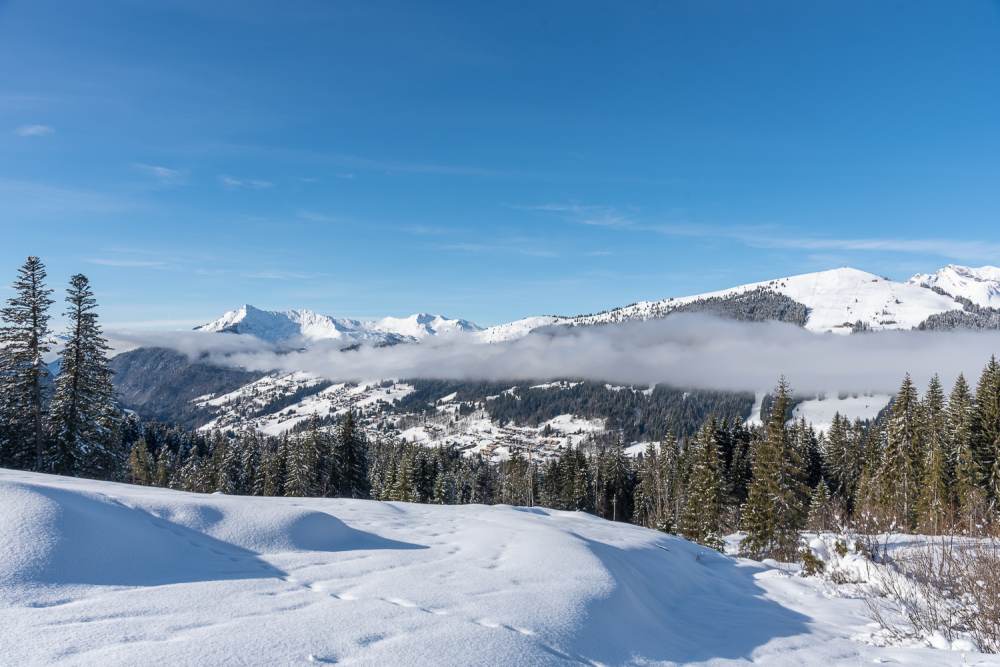 Fantastic Xmas Week - Excellent conditions in Les Gets