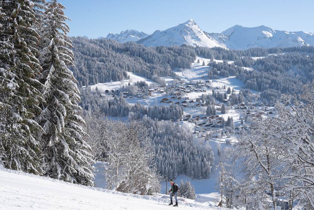 Ski touring, beautiful weather on Mont-Chéry - Les Gets