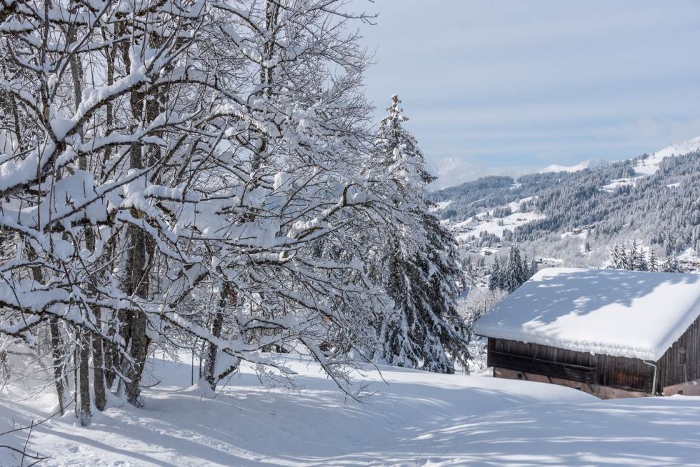 Amazing weather and fresh snow this week-end - Les Gets