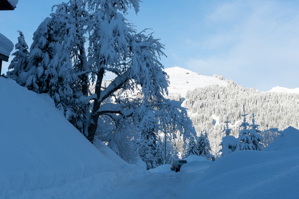 Les Gets - Snow pictures - A lot of snow in February
