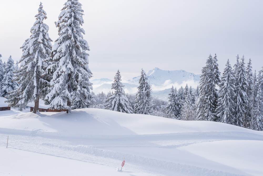 Amazing weather and fresh snow this week-end - Les Gets